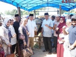 Sapi Kurban Presiden Berbobot 1,2 Ton Disembelih di Payakumbuh