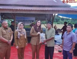 Pemkab Dharmasraya Salurkan 14 Unit Traktor dan 96 Ton Benih Padi Untuk Perkuat Ketahanan Pangan 