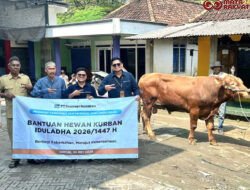 Grup MIND ID Salurkan 1.735 Hewan Kurban Dari Sumatra hingga Papua