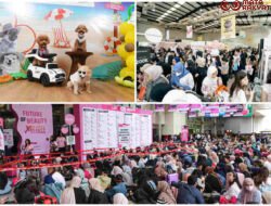 Kalender Event Jakarta yang Semakin Padat di Bulan Juli Mendorong Tren Liburan Akhir Pekan Berbasis Pengalaman