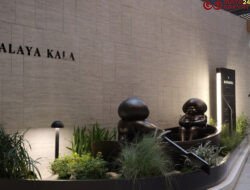 Lebih dari Sekadar Sebuah Ruang: CURATED LIVING Hadir di ASHTA District 8