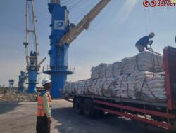 Perkuat Logistik Jawa Timur, Kinerja Pelabuhan Gresik Tumbuh Positif di Semester I – 2026