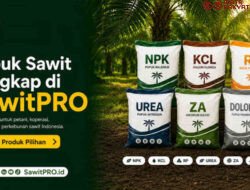 SawitPRO Hadirkan Pilihan Pupuk Sawit Lengkap untuk Kebutuhan Petani dan Perkebunan