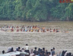 Selaju Sampan Badunsanak Sukses Sedot Animo Masyarakat Dharmasraya, Harimau Buas Juara I