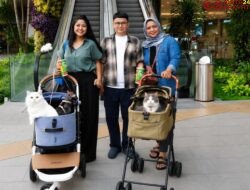 Main Bareng Anabul Di Grand Galaxy Park yang Cat Friendly