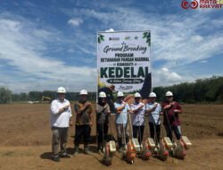 PTPN IV PalmCo Matangkan Pilot Project Kedelai Dukung Percepatan Swasembada Pangan Nasional