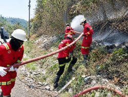 Aktifkan Emergency Management Team, NHM Perkuat Penanganan Karhutla