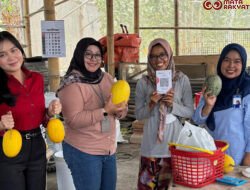 BRI Branch Office Klaten Hadirkan Kemudahan Transaksi QRIS di Rindu Farm Wisata Petik Melon