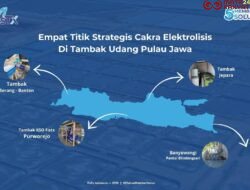 Cakra Elektrolisis, Teknologi Sterilisasi Air Tambak Karya Anak Bangsa, Mulai Dipercaya Tambak Besar di Pulau Jawa