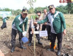 Kapolres Pasbar Dukung Program “Green Policing” Lewat Penanaman Pohon Bersama Forkopimda