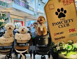 The Pawciety Club Bawa Dunia Dog Lovers ke PIK Avenue